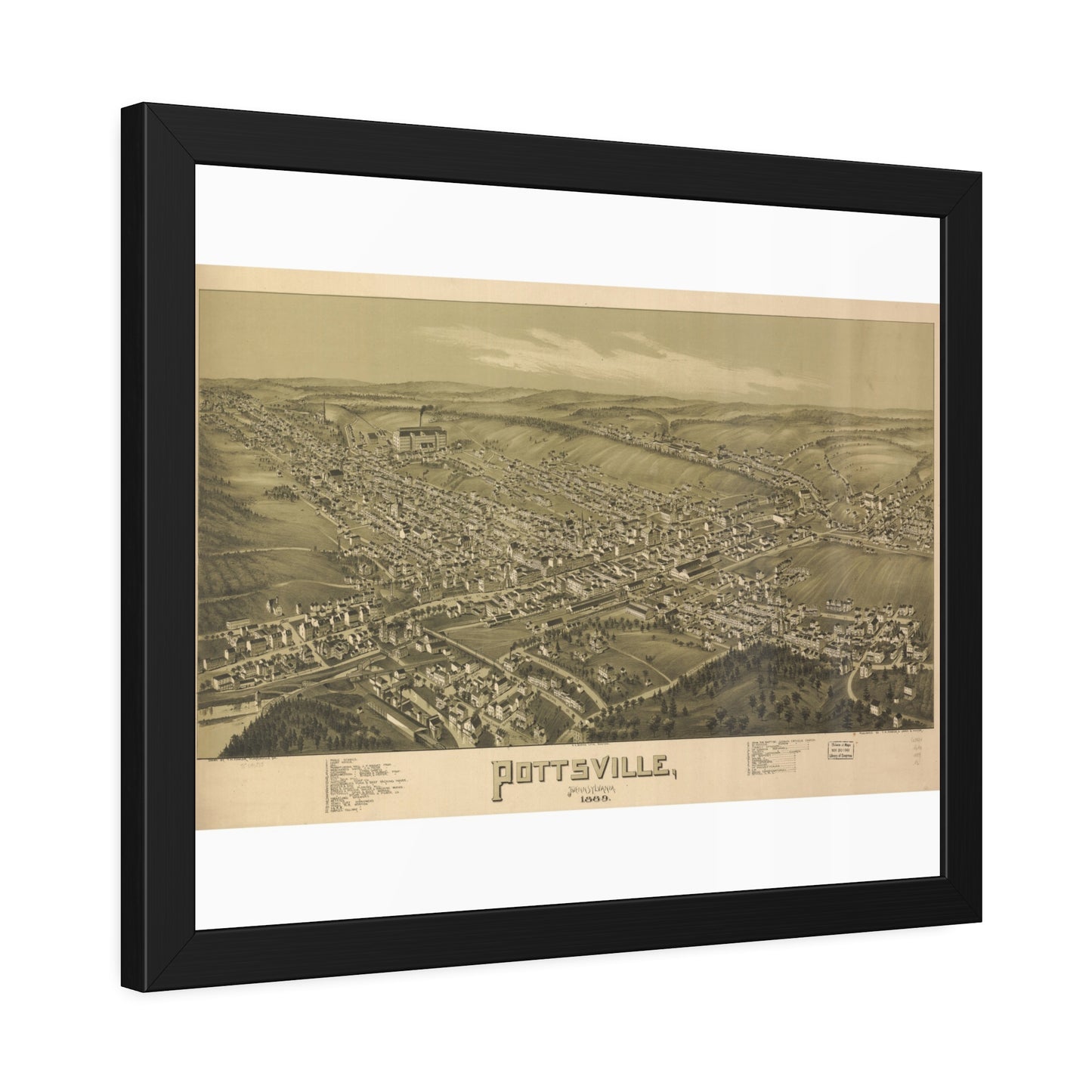 Bird's-Eye View of Pottsville, 1889 (T. M. Fowler) — Framed