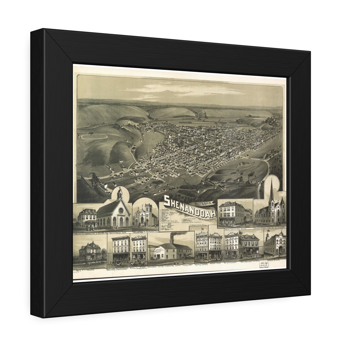 Bird's-Eye View of Shenandoah, 1889 (T. M. Fowler) — Framed