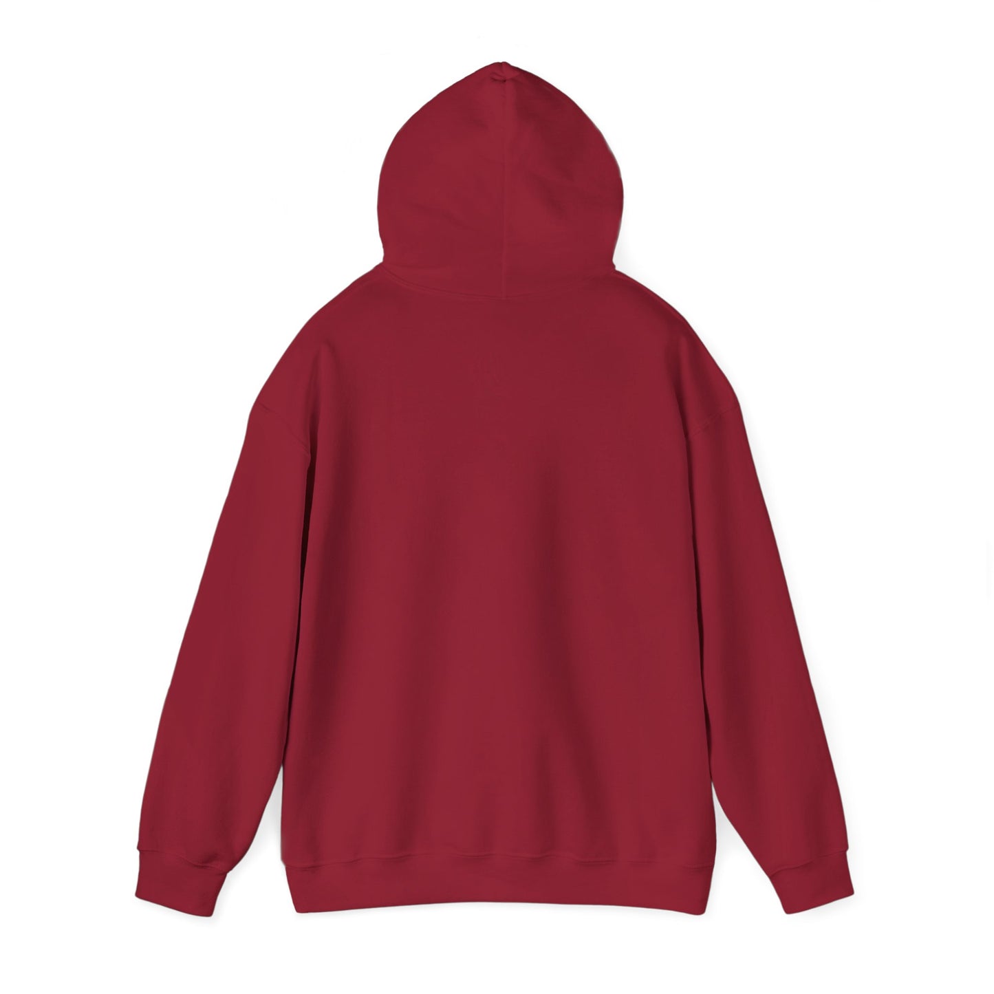 The Coney Island Hoodie — Pottsville Crimson