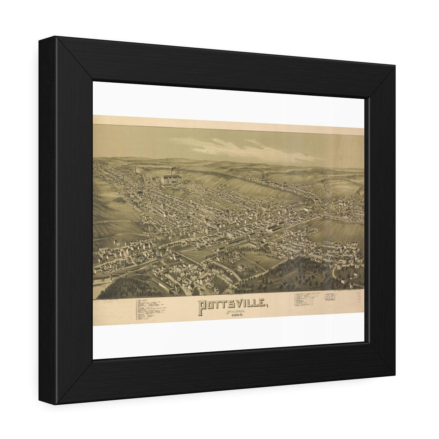 Bird's-Eye View of Pottsville, 1889 (T. M. Fowler) — Framed