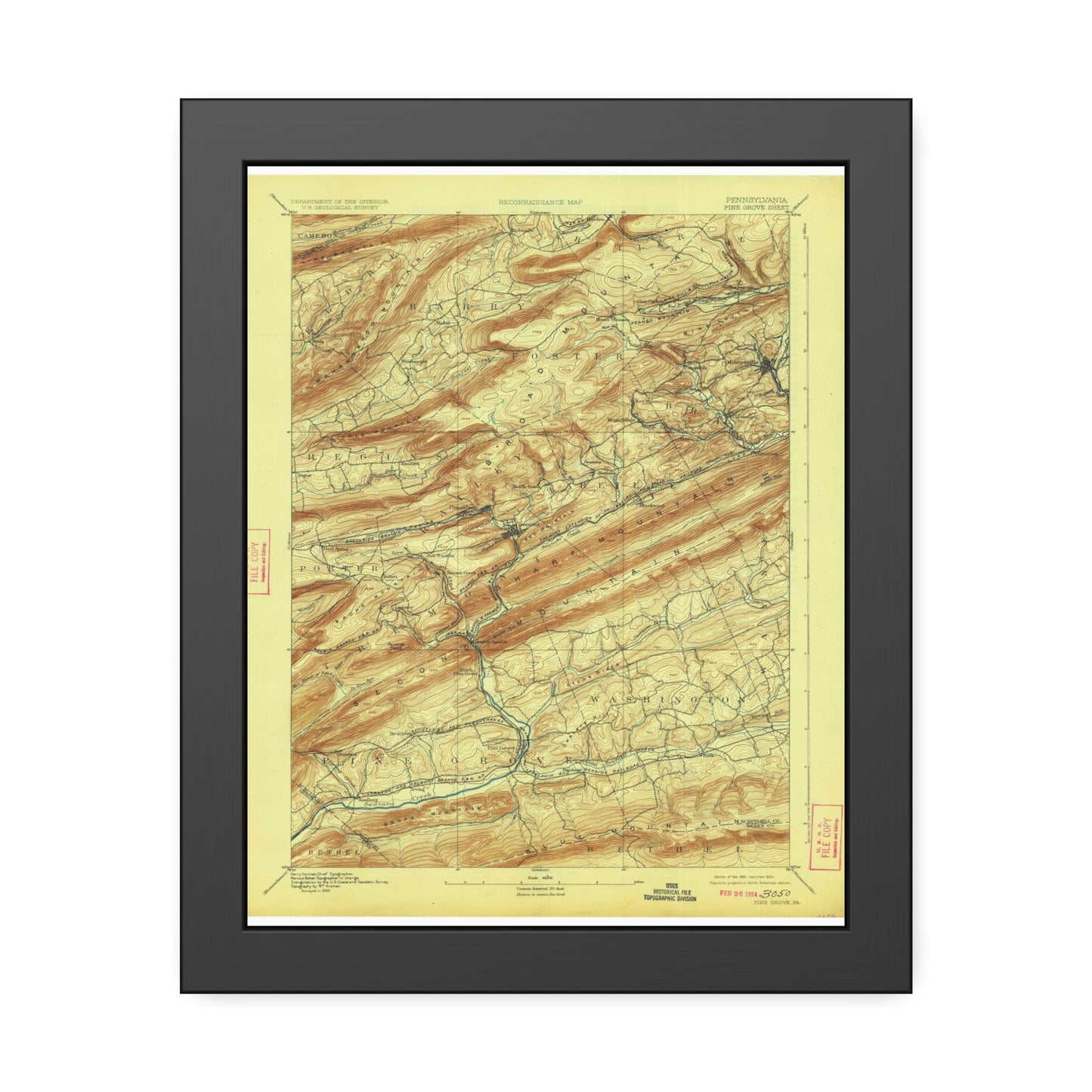 USGS Topographic Map — Pine Grove Quadrangle, 1892 — Framed