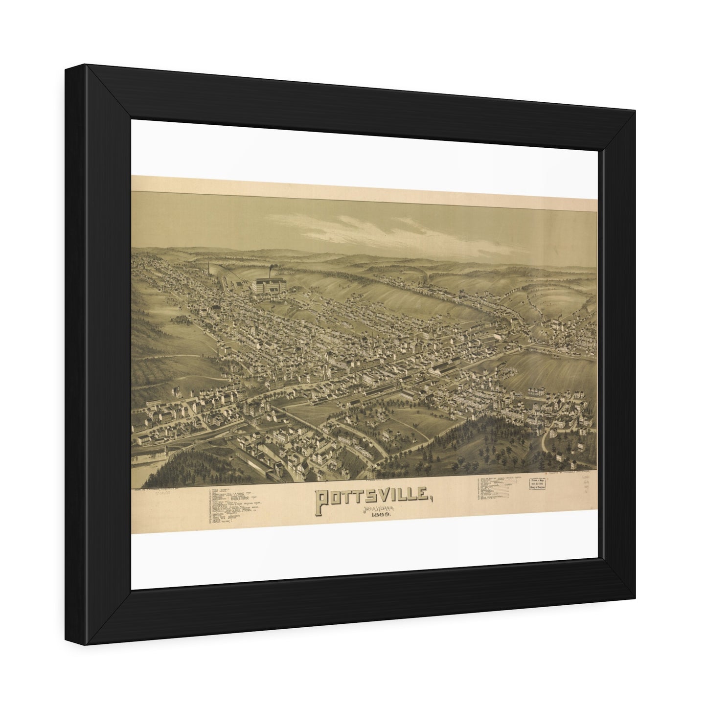 Bird's-Eye View of Pottsville, 1889 (T. M. Fowler) — Framed