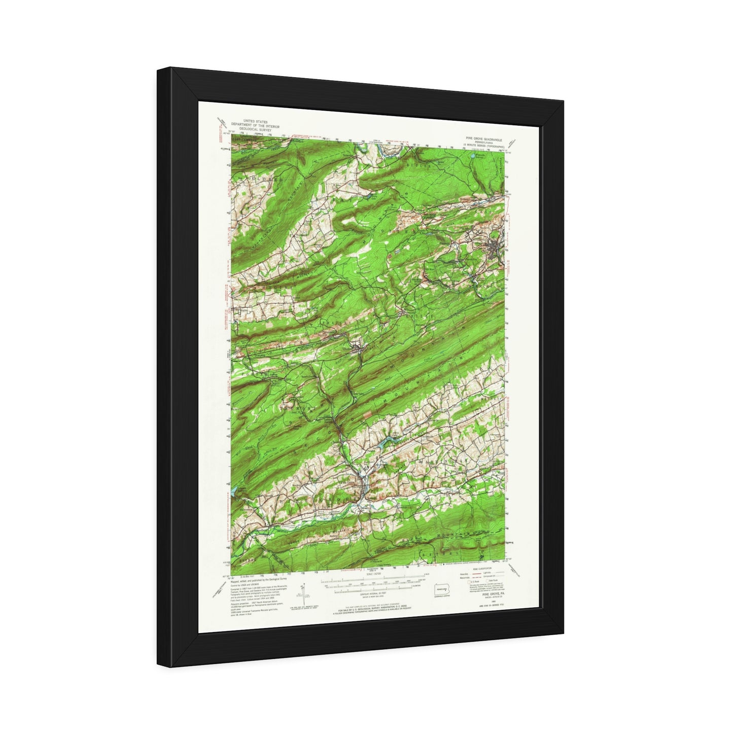 USGS Topographic Map — Pine Grove Quadrangle, 1955 — Framed