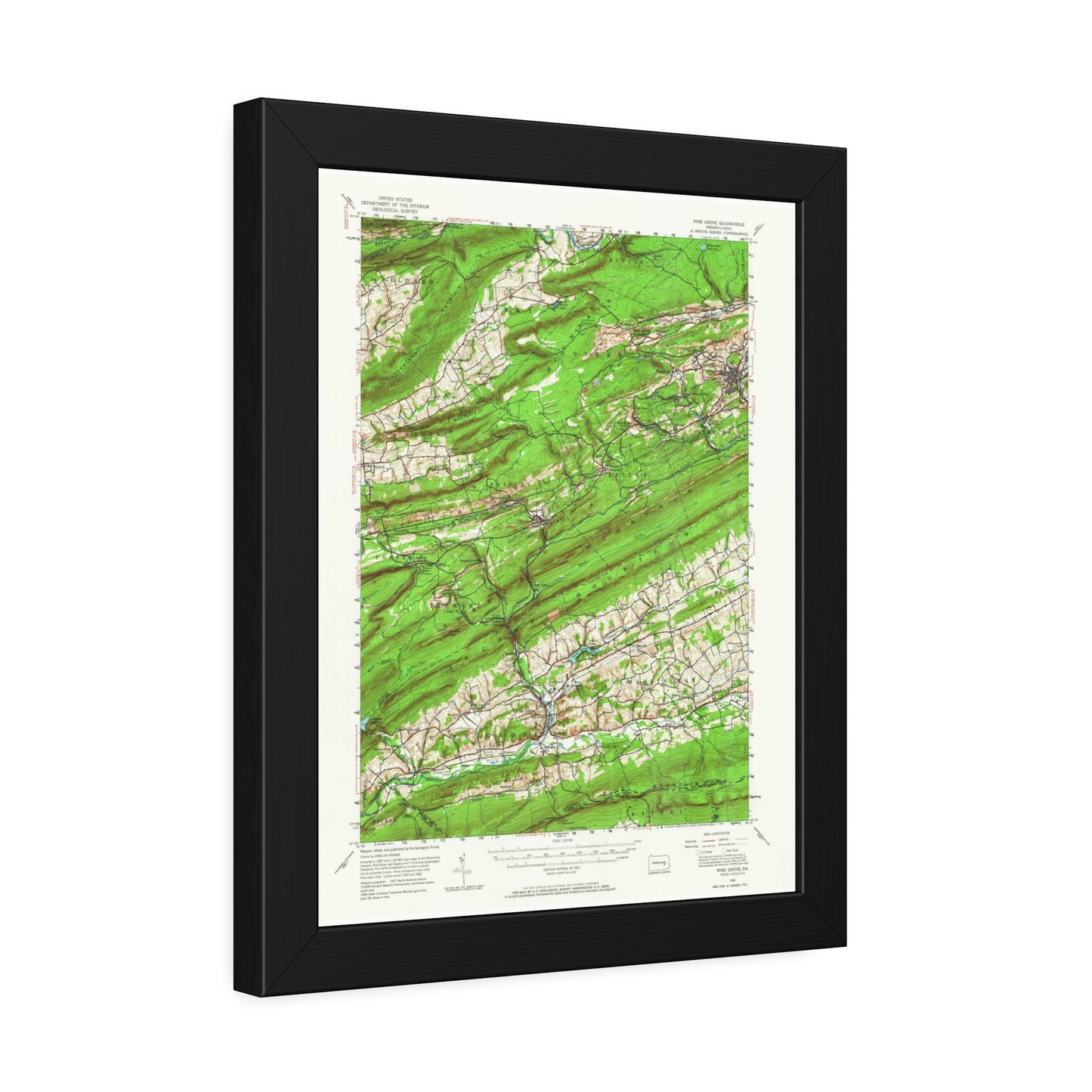 USGS Topographic Map — Pine Grove Quadrangle, 1955 — Framed