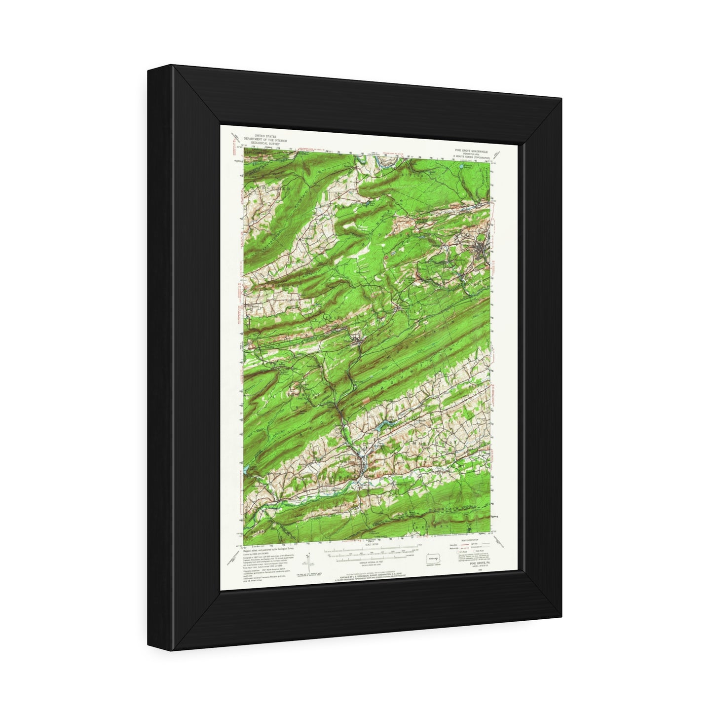 USGS Topographic Map — Pine Grove Quadrangle, 1955 — Framed