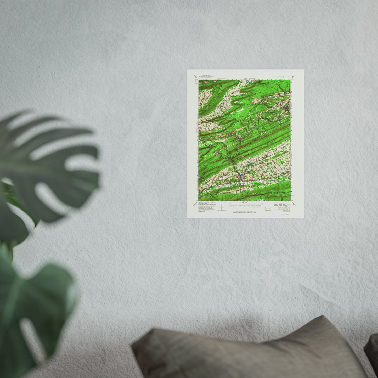 USGS Topographic Map — Pine Grove Quadrangle, 1955