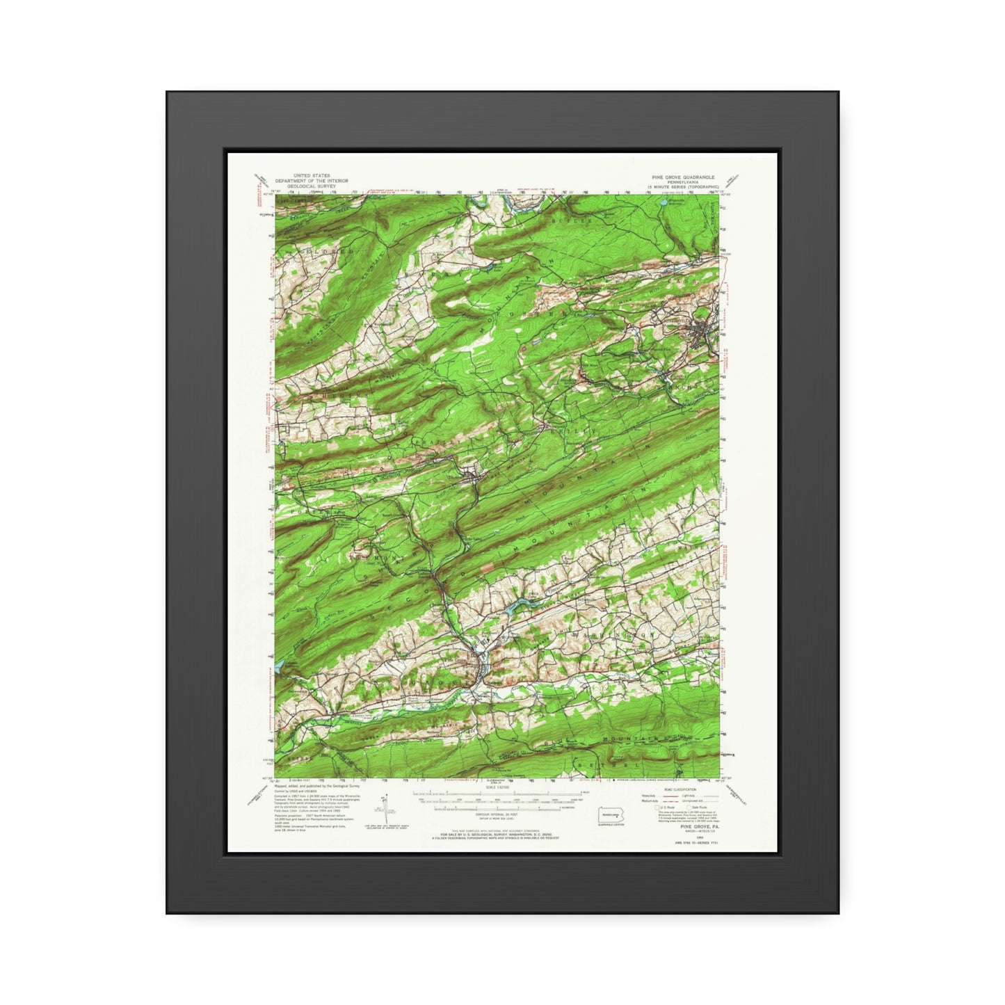 USGS Topographic Map — Pine Grove Quadrangle, 1955 — Framed